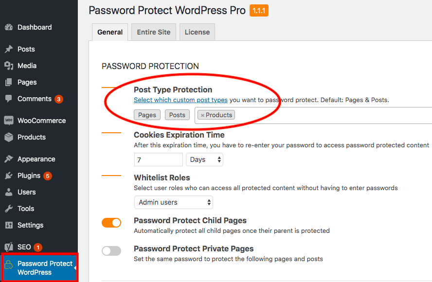 ppwp-password-protect-custom-post-type