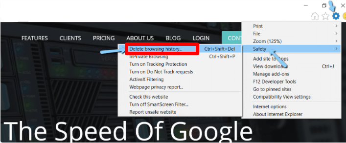 Internet Explorer's "Delete browsing history" option