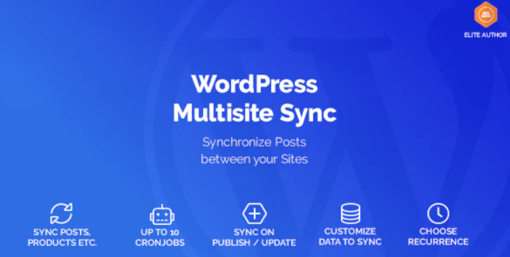 PPWP Pro: WordPress Multisite Sync