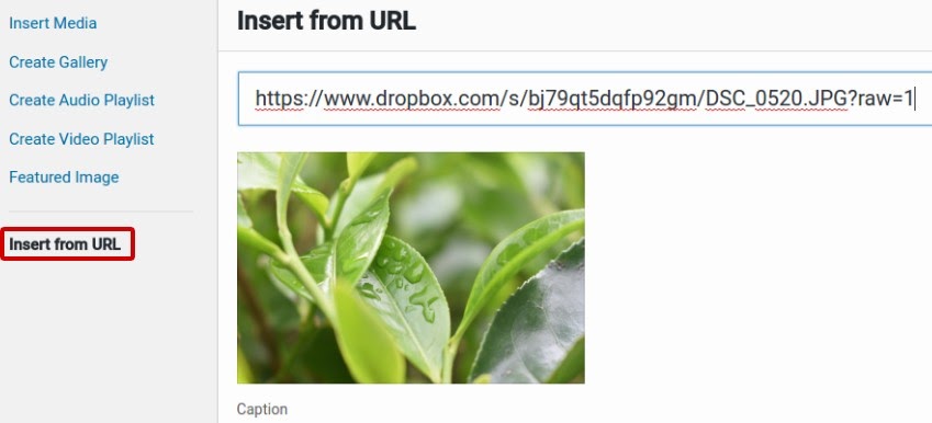 PPWP Pro: Insert Dropbox Files from URLs